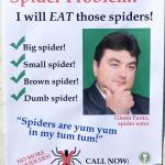 I eat spiders