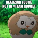distressed rowlet | REALIZING YOU'RE NOT IN #TEAM ROWLET | image tagged in distressed rowlet | made w/ Imgflip meme maker