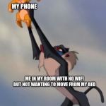Rafiki and Simba | MY PHONE; ME IN MY ROOM WITH NO WIFI BUT NOT WANTING TO MOVE FROM MY BED | image tagged in rafiki and simba | made w/ Imgflip meme maker