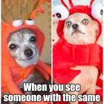 Dogs Crab Same Outfit | When you see someone with the same outfit as you at the club. | image tagged in dogs crab same outfit,memes | made w/ Imgflip meme maker
