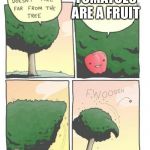 I hate it when things are backed up with scientific fact | TOMATOES ARE A FRUIT | image tagged in apple tree,tomatoes,isaac_laugh | made w/ Imgflip meme maker