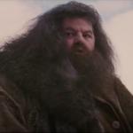 Hagrid No More Questions