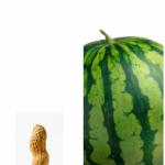 Peanut vs. Watermelon
