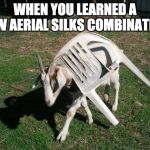 Goat Stuck in Chair | WHEN YOU LEARNED A NEW AERIAL SILKS COMBINATION | image tagged in goat stuck in chair | made w/ Imgflip meme maker