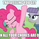 Feels good man! | THAT FEELING YOU GET; WHEN ALL YOUR CHORES ARE DONE! | image tagged in another picture from,memes,chores | made w/ Imgflip meme maker