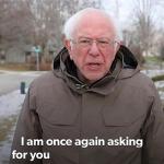 Bernie - I am once again asking for you meme