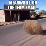 tumbleweed | MEANWHILE, ON THE TEAM EMAIL... | image tagged in tumbleweed | made w/ Imgflip meme maker