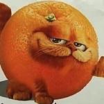 garfield orange meme