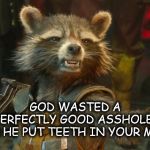 rocket racoon | GOD WASTED A PERFECTLY GOOD ASSHOLE 
WHEN HE PUT TEETH IN YOUR MOUTH | image tagged in rocket racoon | made w/ Imgflip meme maker