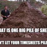 Big pile of sheet | THAT IS ONE BIG PILE OF SHEET; DON'T LET YOUR TIMESHEETS PILE-UP | image tagged in one big pile of shit,timesheet reminder,timesheet meme,timesheet,jurassic park | made w/ Imgflip meme maker