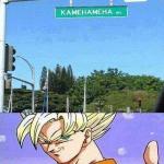 Goku's Kamehameha Street meme