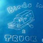 Birds in a Truck