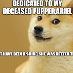 Doge Meme | DEDICATED TO MY DECEASED PUPPER,ARIEL; SHE MAY NOT HAVE BEEN A SHIBE, SHE WAS BETTER THAN A SHIBE | image tagged in doge meme | made w/ Imgflip meme maker