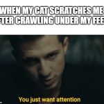 Charlie Puth Attention | WHEN MY CAT SCRATCHES ME AFTER CRAWLING UNDER MY FEET: | image tagged in charlie puth attention | made w/ Imgflip meme maker