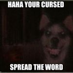 smile dog | HAHA YOUR CURSED; SPREAD THE WORD | image tagged in smile dog | made w/ Imgflip meme maker