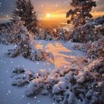 Winter sundown GIF Template