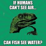 TrexWW3 | IF HUMANS CAN'T SEE AIR... CAN FISH SEE WATER? | image tagged in trexww3 | made w/ Imgflip meme maker