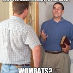 Jehovah's witness | HI, DO YOU HAVE A MOMENT TO TALK ABOUT; WOMBATS? | image tagged in jehovah's witness | made w/ Imgflip meme maker