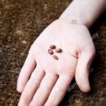 Hand with seeds