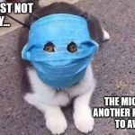 Cat in a Mask | IT'S JUST NOT
MY DAY... THE MICE HAVE 
ANOTHER REASON 
TO AVOID ME | image tagged in cat in a mask | made w/ Imgflip meme maker