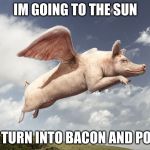 flying pig | IM GOING TO THE SUN; TO TURN INTO BACON AND PORK | image tagged in flying pig | made w/ Imgflip meme maker