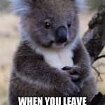 Innocent Koala | THAT "I'M INNOCENT" LOOK YOU TRY TO PULL OFF; WHEN YOU LEAVE THE STORE WITHOUT BUYING ANYTHING | image tagged in innocent koala | made w/ Imgflip meme maker