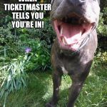 Marley 2- when ticketmaster tells you you’re in! | WHEN
TICKETMASTER
TELLS YOU
YOU’RE IN! | image tagged in marley 2- ticket master,dogs,funny dogs,funny dog memes,dog memes | made w/ Imgflip meme maker