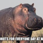 Hippo | IT’S FREE DONUTS FOR EVERYONE DAY AT WORK TODAY | image tagged in hippo | made w/ Imgflip meme maker