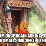 Bernie the Pooh | I AM ONCE AGAIN ASKING YOU FOR A SMALL SMACKEREL OF HONEY | image tagged in bernie the pooh | made w/ Imgflip meme maker