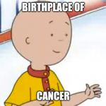 Birth of cancer | BIRTHPLACE OF; CANCER | image tagged in caillou | made w/ Imgflip meme maker