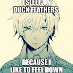 feeling down | I SLEEP ON DUCK FEATHERS; BECAUSE I LIKE TO FEEL DOWN | image tagged in i've wasted my life,depression,funny,me too | made w/ Imgflip meme maker