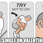cry a lot | IM STILL SINGLE ON VALENTINES DAY :( | image tagged in cry a lot | made w/ Imgflip meme maker