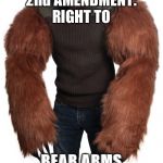 Bear arms | 2nd AMENDMENT: RIGHT TO; BEAR ARMS | image tagged in bear arms | made w/ Imgflip meme maker