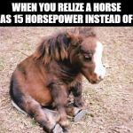 Sad horsey fat horsey | WHEN YOU RELIZE A HORSE HAS 15 HORSEPOWER INSTEAD OF 1 | image tagged in sad horsey fat horsey,oof,horse,horsepower | made w/ Imgflip meme maker