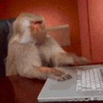 Monkey on a Mac
