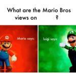 What Are The Mario Bros.' Views On: