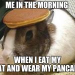 bunny pancake | ME IN THE MORNING; WHEN I EAT MY HAT AND WEAR MY PANCAKE | image tagged in bunny pancake | made w/ Imgflip meme maker