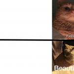 Drake template (Cats Version) meme