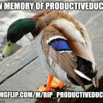 sad duck | IN MEMORY OF PRODUCTIVEDUCK; IMGFLIP.COM/M/RIP_PRODUCTIVEDUCK | image tagged in sad duck | made w/ Imgflip meme maker