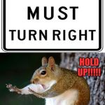 Hold up!!! | HOLD UP!!!!! | image tagged in hold up squirrel,memes,meme,funny,funny meme,fun | made w/ Imgflip meme maker
