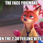 Nick's Slow Day | THE FACE YOU MAKE; WHEN THE 2:30 FEELING HITS YOU | image tagged in nick wilde at work,zootopia,nick wilde,the face you make when,funny,memes | made w/ Imgflip meme maker