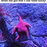 That 5 Star Rated Booty