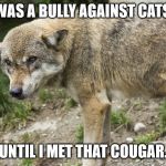 The Defeated Bully | I WAS A BULLY AGAINST CATS... UNTIL I MET THAT COUGAR. | image tagged in the defeated bully | made w/ Imgflip meme maker