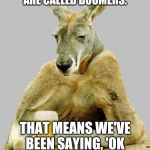 Cool Kangaroo | MALE KANGAROOS ARE CALLED BOOMERS. THAT MEANS WE'VE BEEN SAYING, 'OK ADULT MALE KANGAROO.' | image tagged in cool kangaroo | made w/ Imgflip meme maker