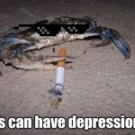 crab | Crabs can have depression too. | image tagged in crab | made w/ Imgflip meme maker