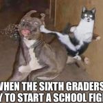 GET REKT | WHEN THE SIXTH GRADERS TRY TO START A SCHOOL FIGHT | image tagged in get rekt | made w/ Imgflip meme maker