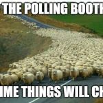 sheep | TO THE POLLING BOOTHS! THIS TIME THINGS WILL CHANGE! | image tagged in sheep,indoctrination,vote,election 2020 | made w/ Imgflip meme maker