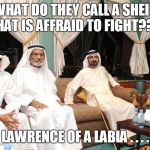 sheiks | WHAT DO THEY CALL A SHEIK THAT IS AFFRAID TO FIGHT??? LAWRENCE OF A LABIA . . . . | image tagged in funny,funny memes,funny meme,lol so funny,too funny,bad pun | made w/ Imgflip meme maker