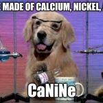 No wonder they seem a bit noble! | DOGS ARE MADE OF CALCIUM, NICKEL, AND NEON; CaNiNe | image tagged in memes,chemistry dog,dogs,periodic table,elements,wordplay | made w/ Imgflip meme maker