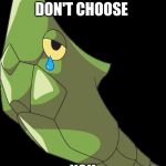 Metapod | WHEN THEY DON'T CHOOSE; YOU | image tagged in metapod | made w/ Imgflip meme maker